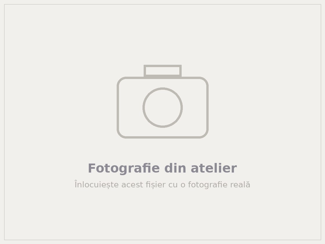 Fotografie din atelier — mașină pe elevator