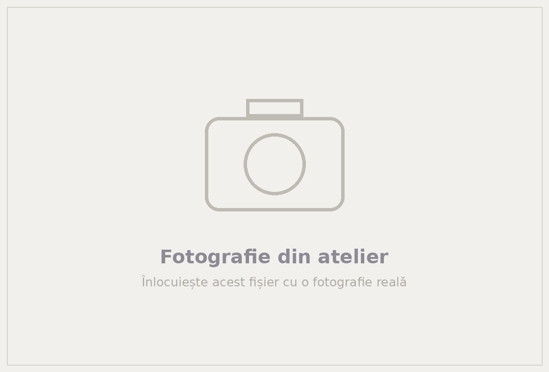 Fotografie din atelierul CarHospital Iași
